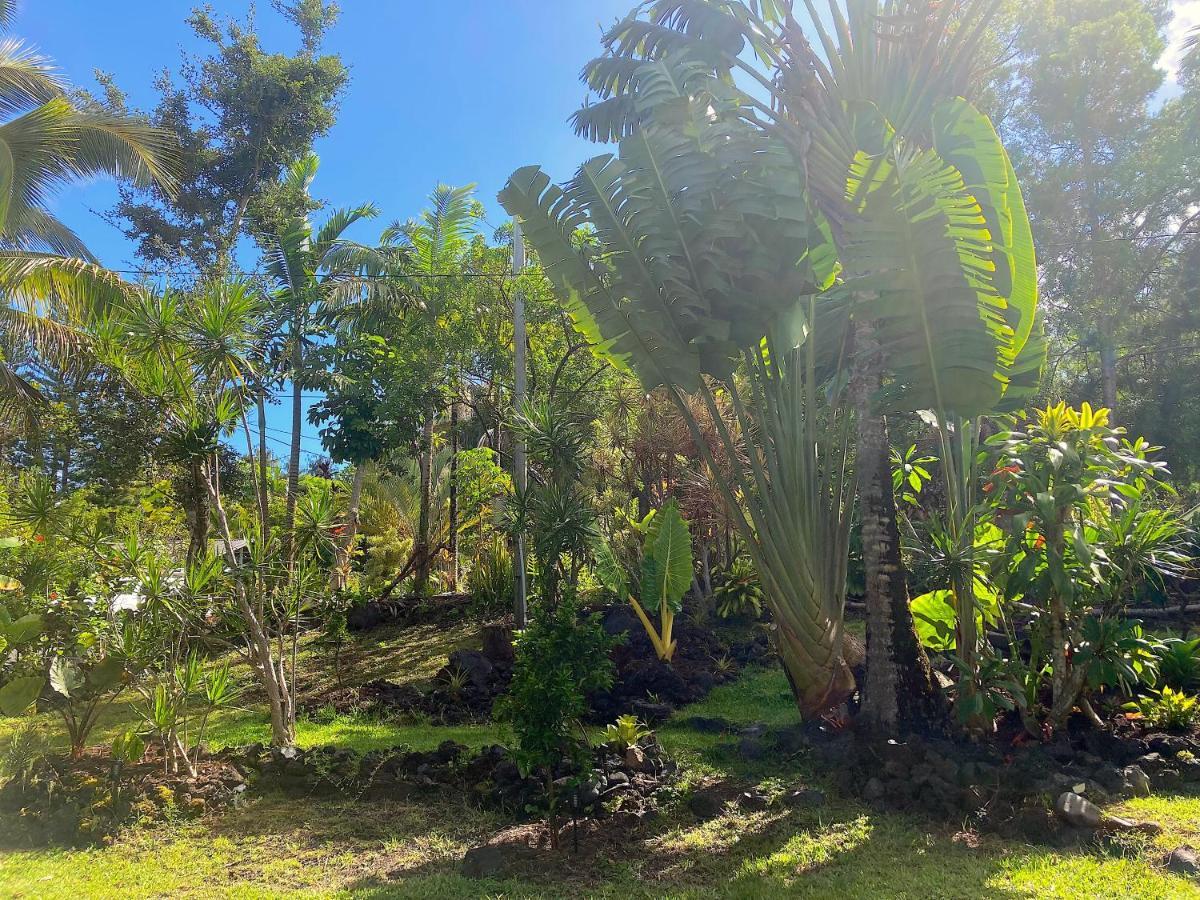 Seaside House And Aloha Bungalow Pahoa Exterior foto
