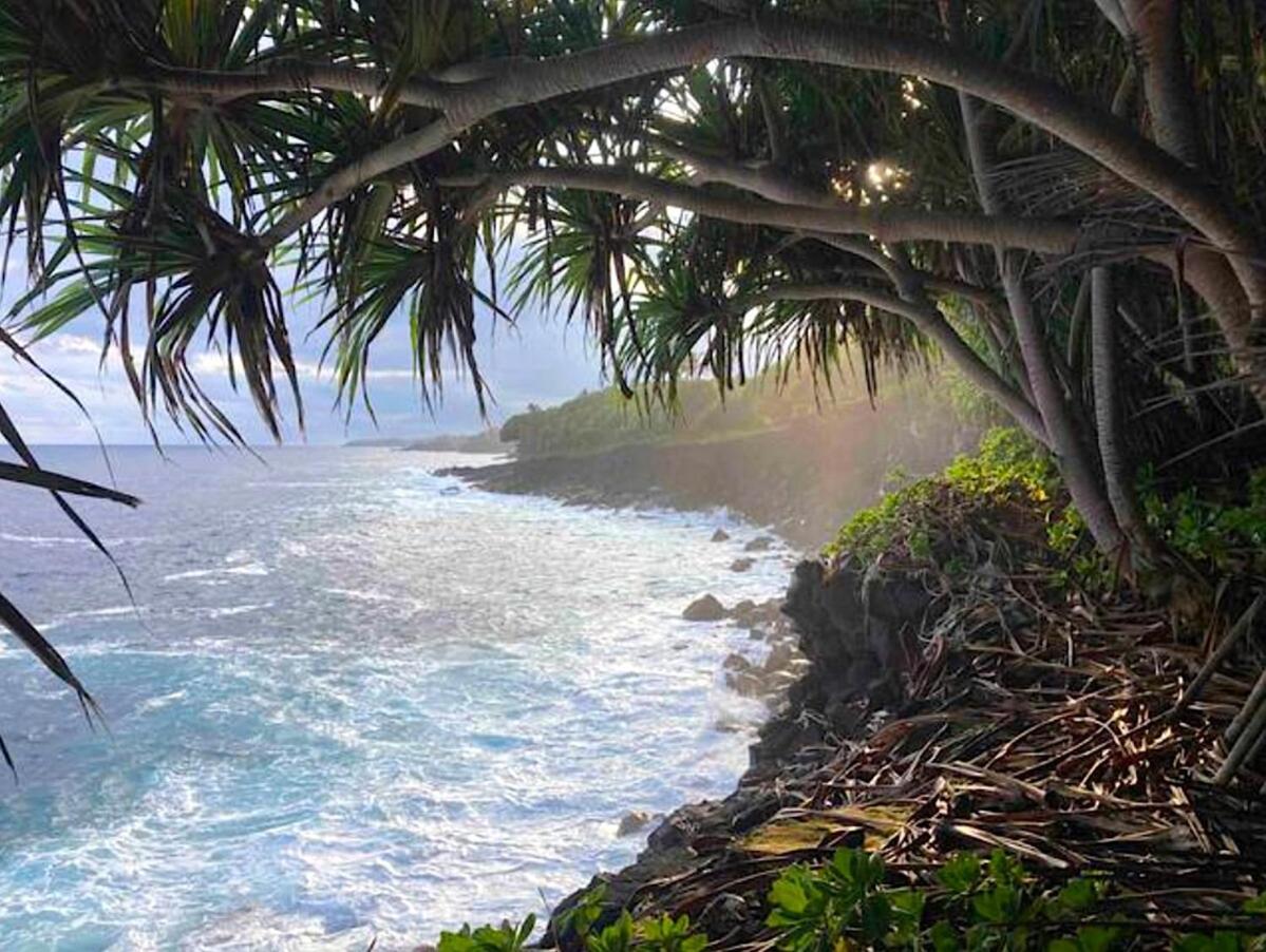 Seaside House And Aloha Bungalow Pahoa Exterior foto
